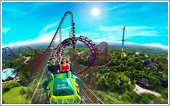 Busch Gardens Tampa Attractions